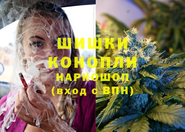 ALPHA-PVP Инсар