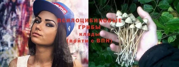 ALPHA-PVP Инсар