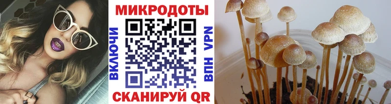 Псилоцибиновые грибы MAGIC MUSHROOMS  Купить  Вяземский 