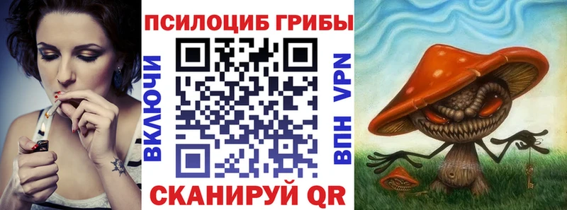 Псилоцибиновые грибы Psilocybine cubensis Вяземский